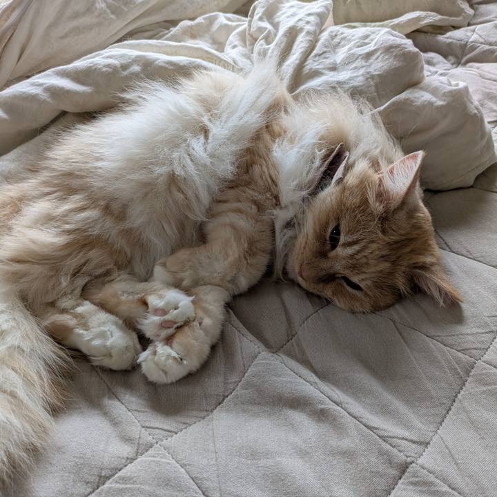 4af313b7 5be8 440e 96c3 52ec0f93e7b6 1747962240588