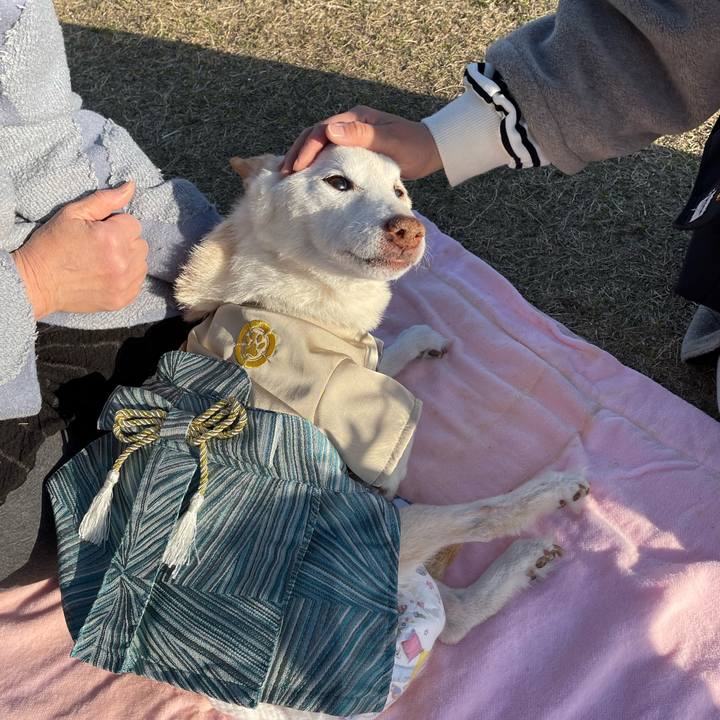 4af31a55 8712 4806 82bc 9230b08caf39 1677837100468