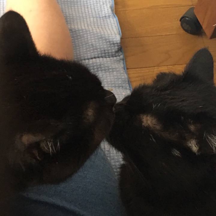 4af32f17 e046 415a 932c 5204290ac9bb 1543624646460