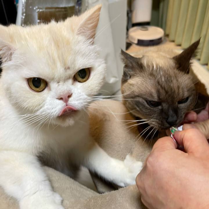 4af3544d 3832 42c6 ae09 6ecfe71b60f3 1764501768201