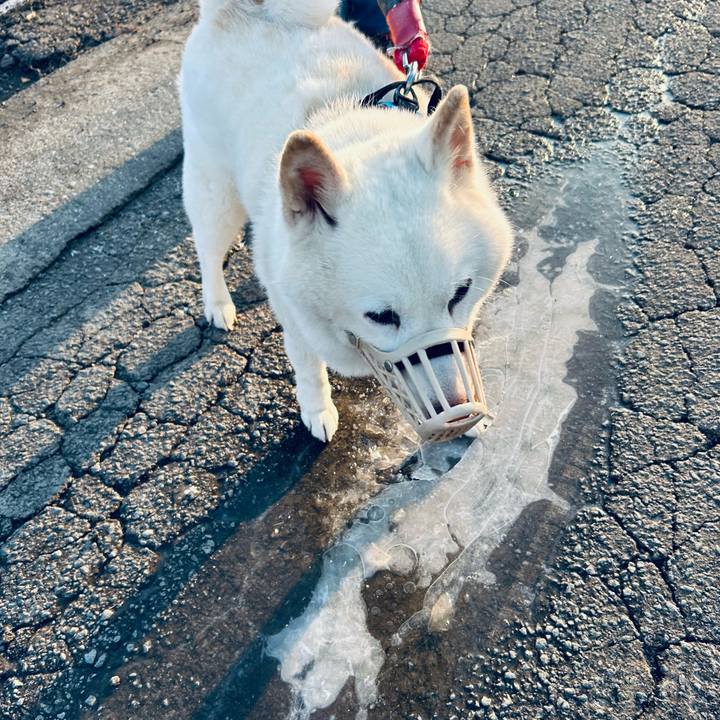 4af39d0e 2a68 4015 9624 80f7f32ec2cc 1773959052111