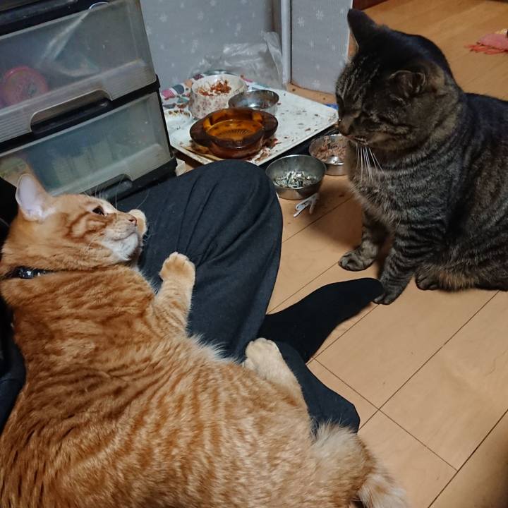 4af3a329 d991 4b30 9c36 d1a8665eeb88 1641462150906