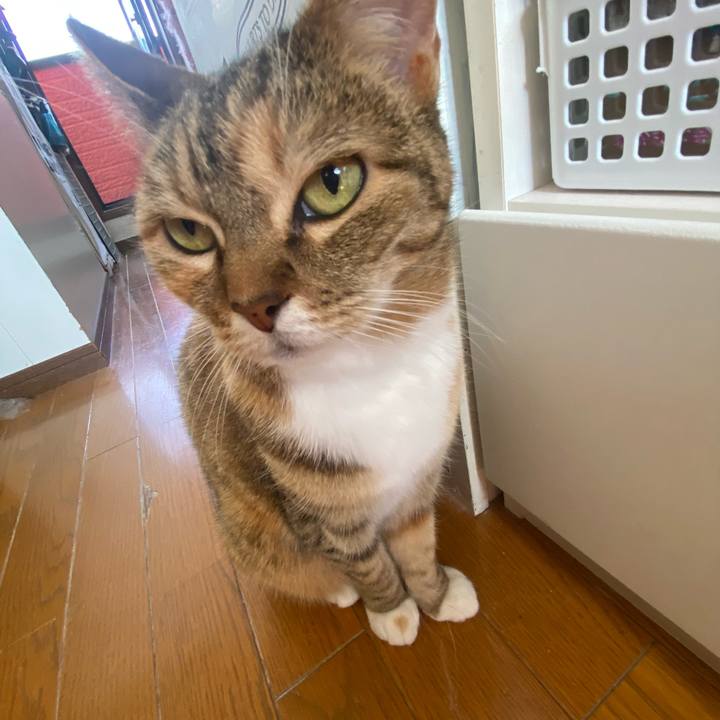 4af3aba6 c409 4a81 9a0b e3cf45218c2c 1646018910233