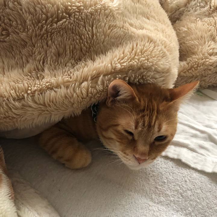 4af3c922 fde1 4f87 a265 d810ac2c8ba8 1578715711441