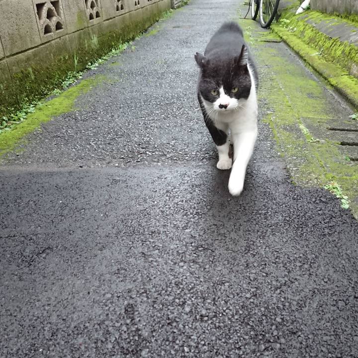 4af3edfd 6591 4138 b01b 038c9a3b9358 1626080078584