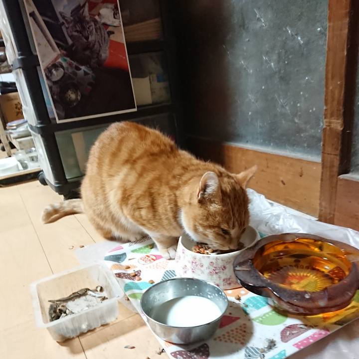 4af3f4a1 bddc 45d0 b0be 8a239d2cd6bb 1604694026511