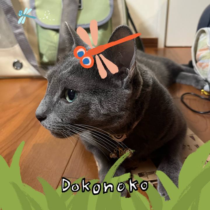 4af40e39 c987 4cd7 8b97 87fb320c8262 1726813746677