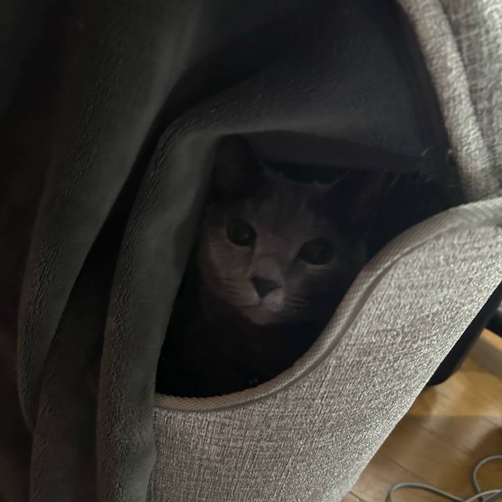 4af41585 8e22 4f17 a126 962101c7abee 1736817272497