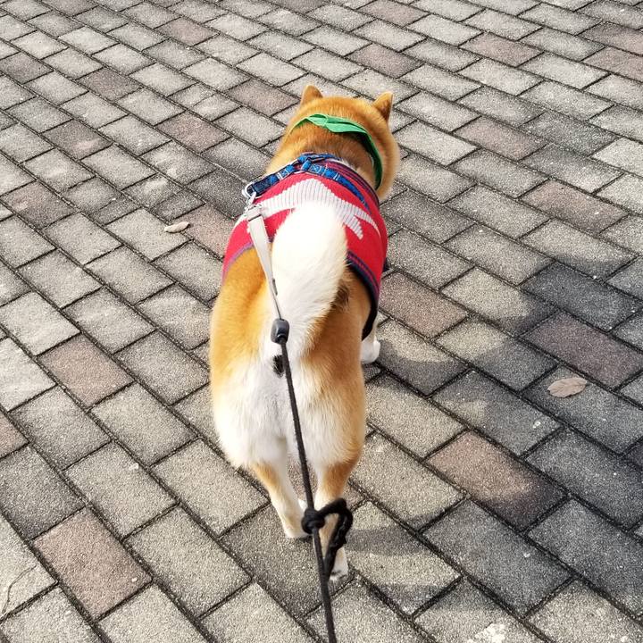 4af4166c 73b3 4951 b529 03b01a06aac2 1553407153603