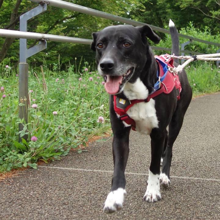 4af43d9b 783f 4fb5 b672 6d6f54ff0fc6 1682903534285