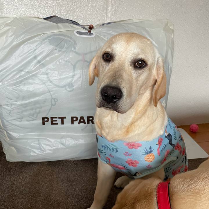 4af44908 915a 451c b455 d3e3c1b64cb3 1623911739052