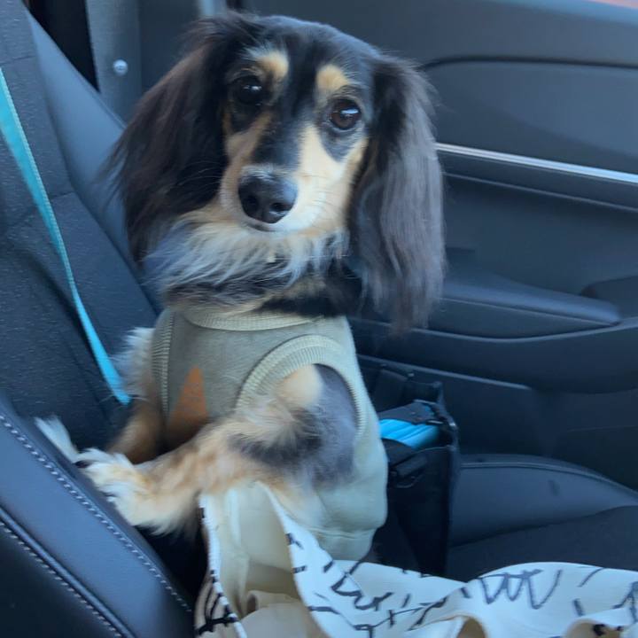 4af44dd8 6fbb 47d7 9f99 fe4c3c9470ee 1772605738098