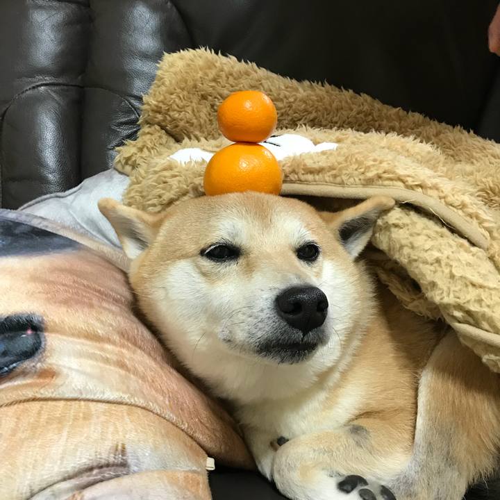 4af4cb8d edea 4105 8360 9ca3f3a3aa39 1513665365687