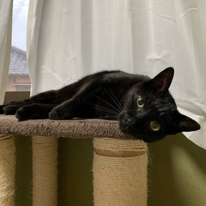 4af4f56f af0a 4f6c be00 68f87074210c 1553128276213