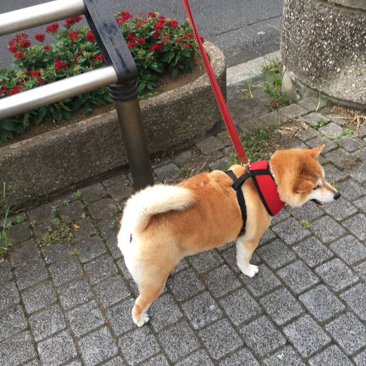 4af53b66 c775 441c 80ed 8c21930d47b8 1600473643706