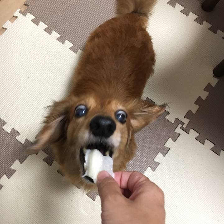 4af59bcf 12ec 4932 a6e3 e12dedc1934f 1568642849841