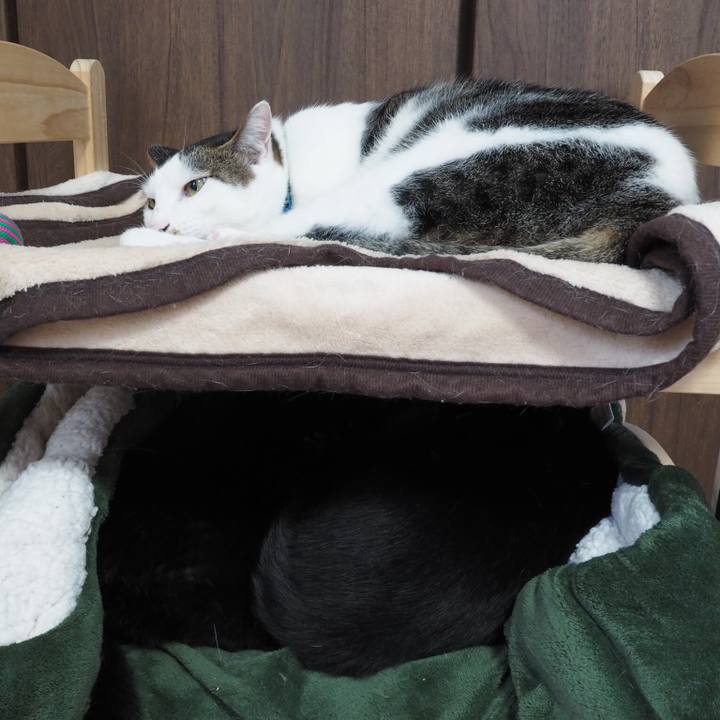 4af5a253 54ed 4598 9666 3a34feb2121c 1539991842858