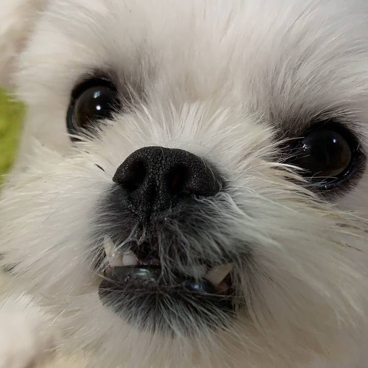 4af5cfeb 7728 4c7d 8b30 e439fead4187 1635678880174