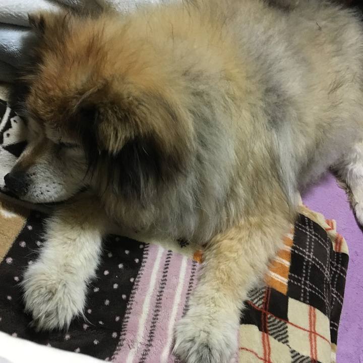 4af62562 3b6d 4525 9d66 c632f5a3ccc5 1604524907411