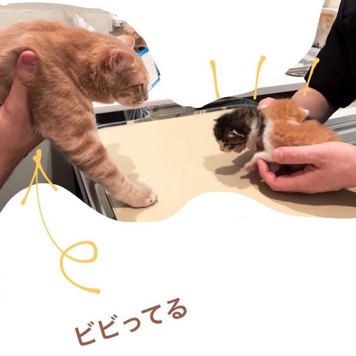 4af66f39 0735 499d 93c2 04735f007eb1 1555911268025