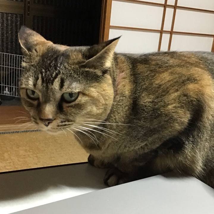 4af67d5e e2da 47e4 a13e 31977a057ffc 1730711078522