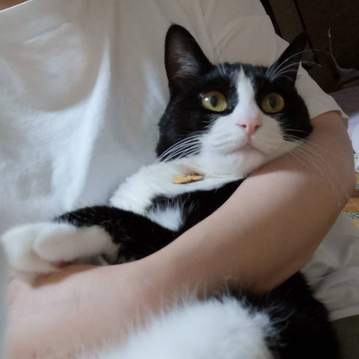 4af6b1b4 bb13 43c8 98fa 9b0a4ea8f923 1564579038097