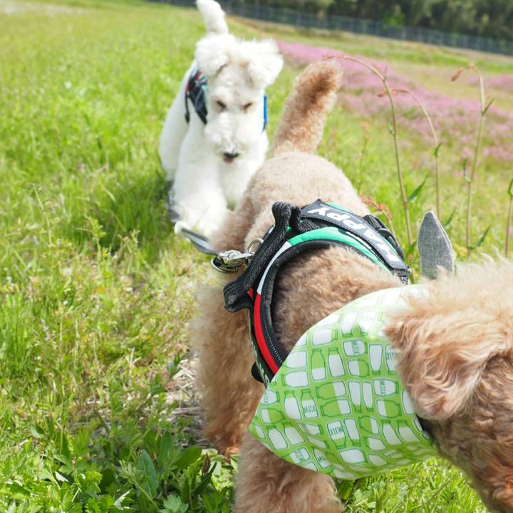 4af6cbb8 5219 4909 918d aeba465fae72 1524488999132