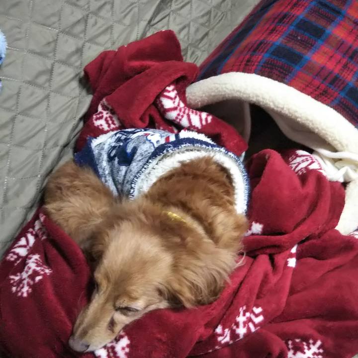 4af6d3f2 9ec2 4b3c 82b4 d42667428dd6 1640269014227