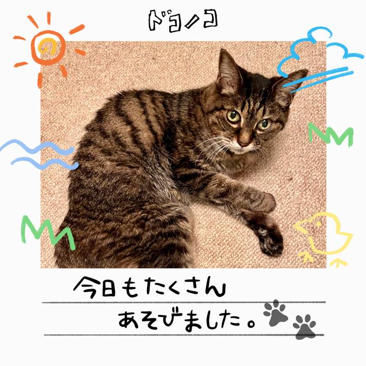 4af702a9 7717 41ea 9d95 4279d5c2a185 1755078329523