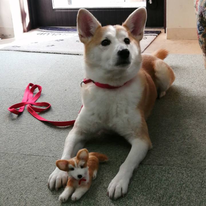 4af723bf e9a8 4af8 a2fe c8c8ef71f4f4 1675636384242