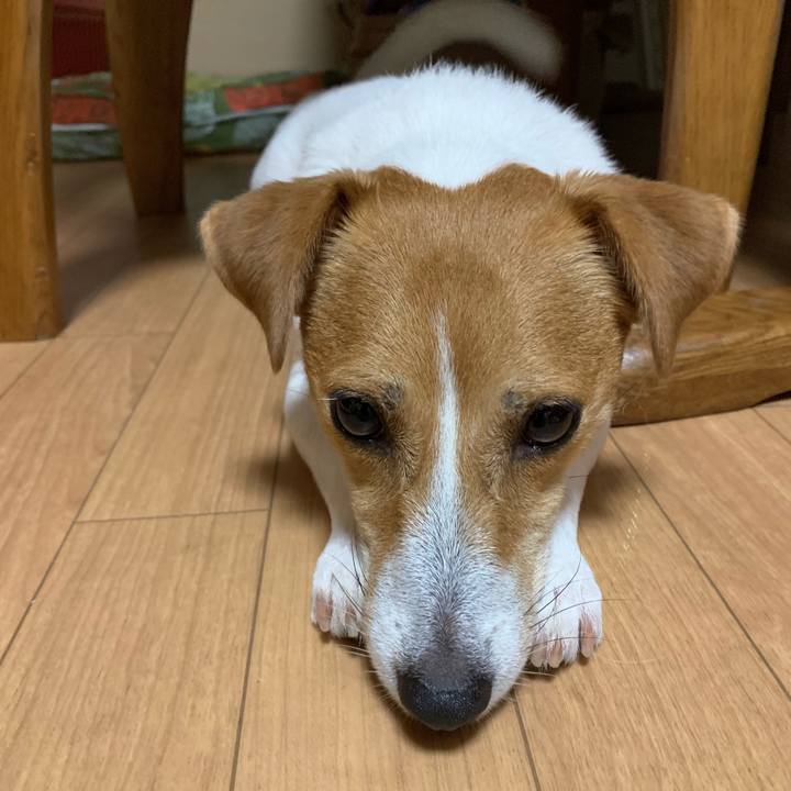 4af78284 f789 4376 a4a9 519496d80e16 1568026820074