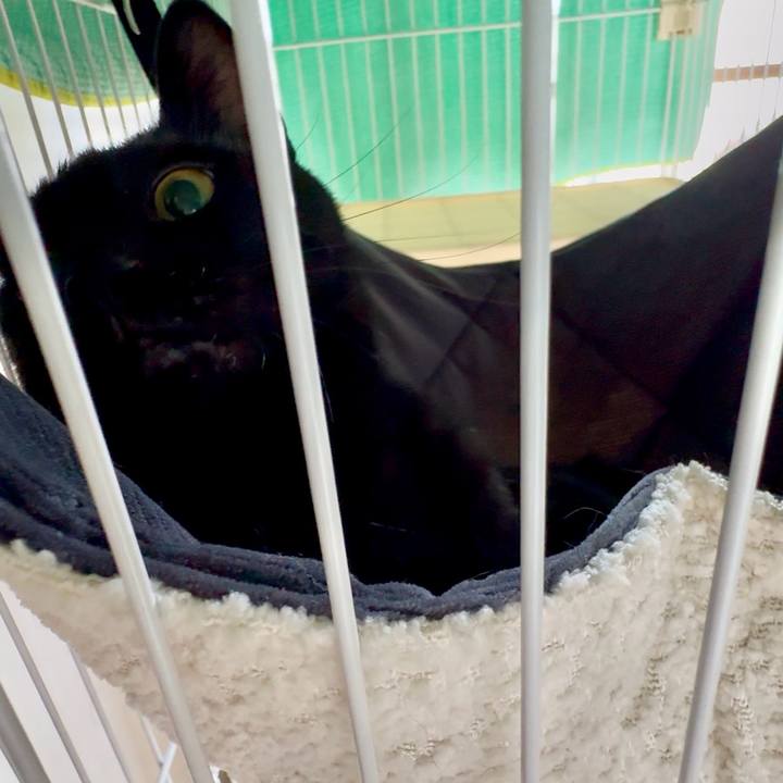 4af7a0e2 04b1 487d 8a02 f04d19031afa 1757637798238