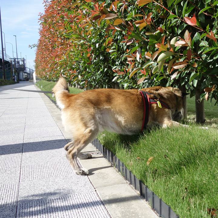 4af7c8b4 69c1 4c78 bfe7 6b52ff832022 1644972876098