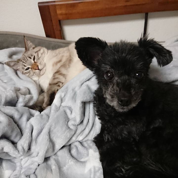 4af7d700 2b52 490d 9555 fea4cc9e3ce7 1571704038994