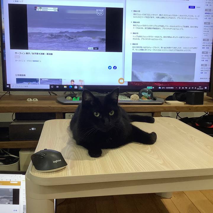 4af7d73c 1ec7 4022 ba03 8e49e41921c0 1627371731871