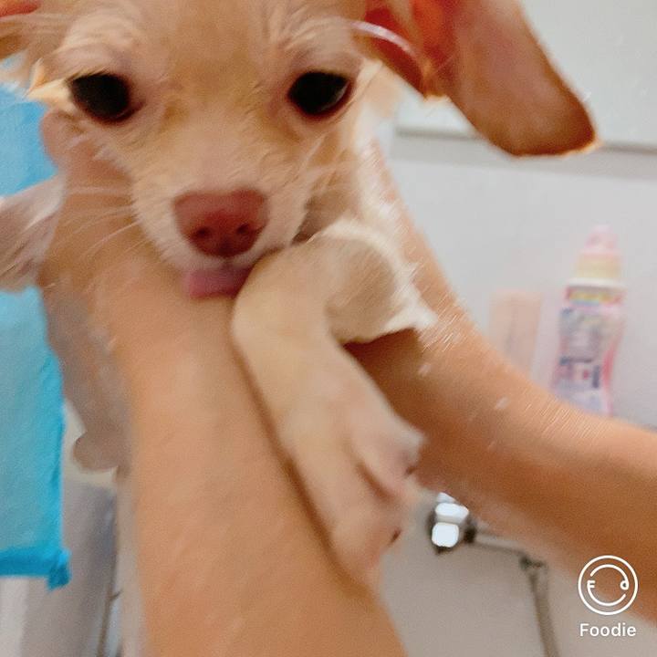 4af83c27 0c6c 483e 8d94 f3ad8f27b589 1599705993482