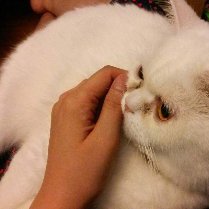 4af83d26 dd3e 4661 a6cd 94f2c40cc4ca 1532833220849