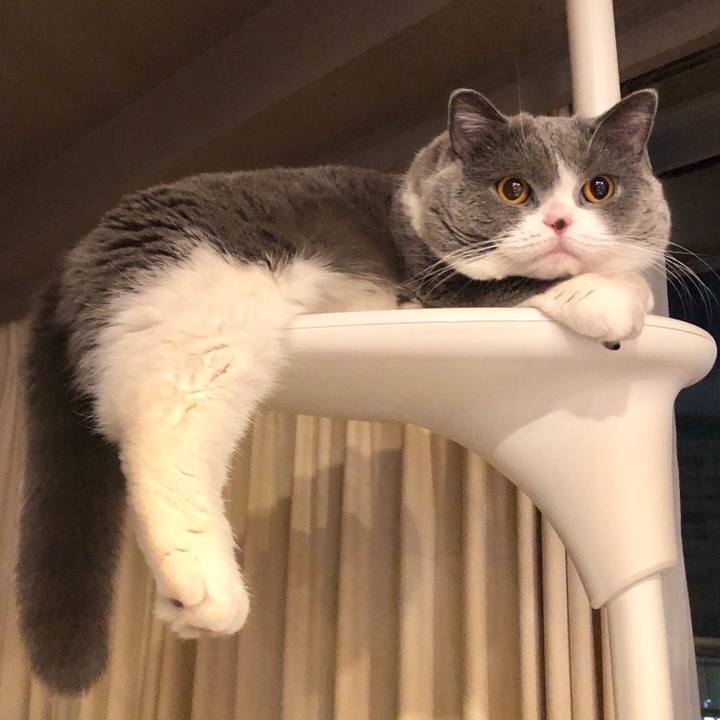 4af84293 b126 4c71 b4dd 01b4c16a9592 1514471758041