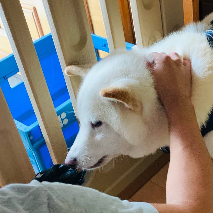 4af89c49 55c1 4d89 bc44 c0e777073e7c 1628603669943