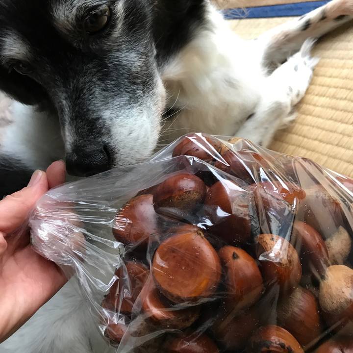 4af8b4e3 d8a2 4f78 83a0 debe1926edd6 1537535701952