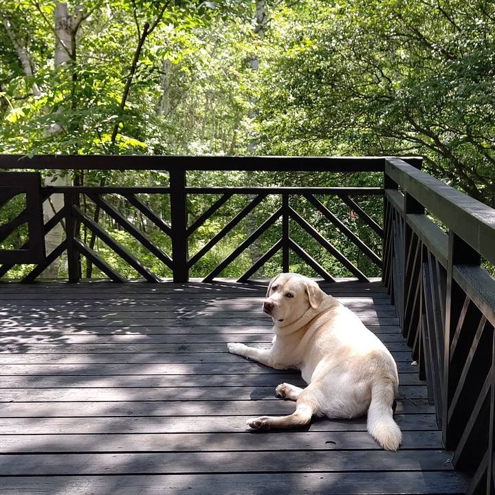 4af8ba71 847d 4642 a0a8 c7f343b36b64 1688442442088