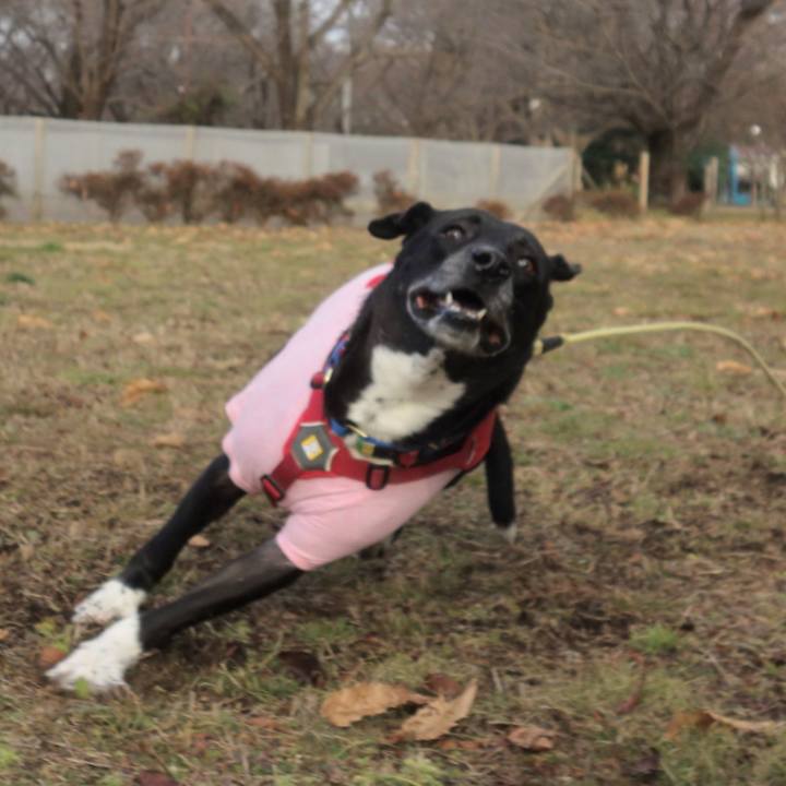 4af8c45a bdb0 4d65 ad9f b8b889fd011b 1672189028180