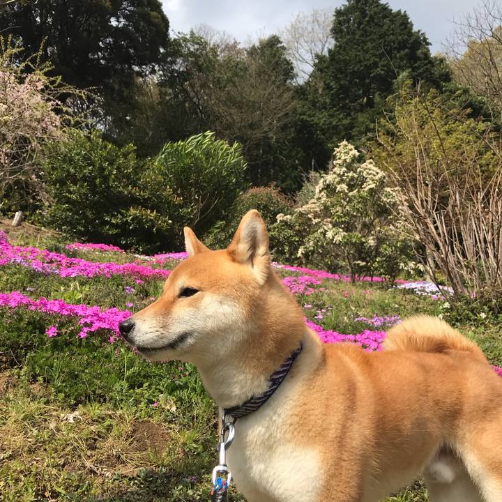 4af911c9 bcef 4eab 94ec 68c076fbd12a 1554704191986