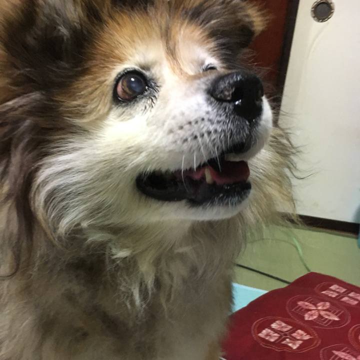 4af98791 fdbc 48fa 9197 c83a43c9d70a 1590950530329