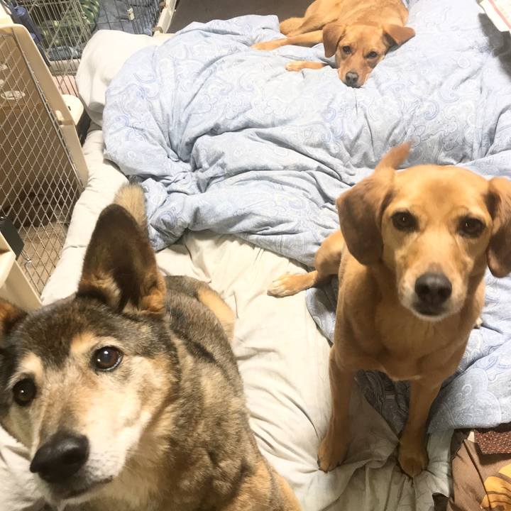 4afa08f6 e0d7 4ed6 8712 bdd590f3f143 1552828175239