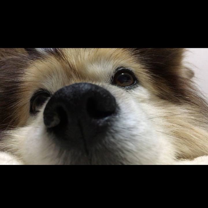 4afa2620 73ac 4200 868b 012d3430147c 1563008141984