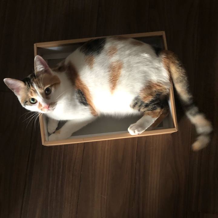 4afa2c2e 15fc 4c8c ab03 0980a7636d3f 1590316295072