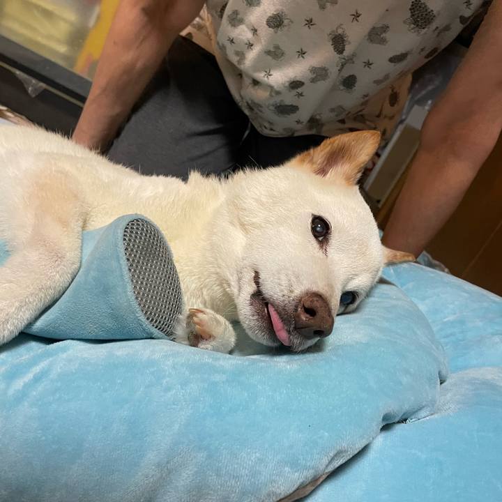 4afa3a41 3f27 4539 8ecf bfb5043ac425 1659619817670