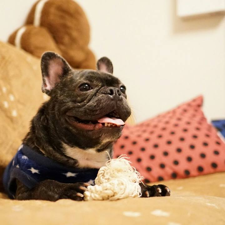 4afa5fda 5f47 4abe ad53 b0ad7f6d2d1b 1510114956225