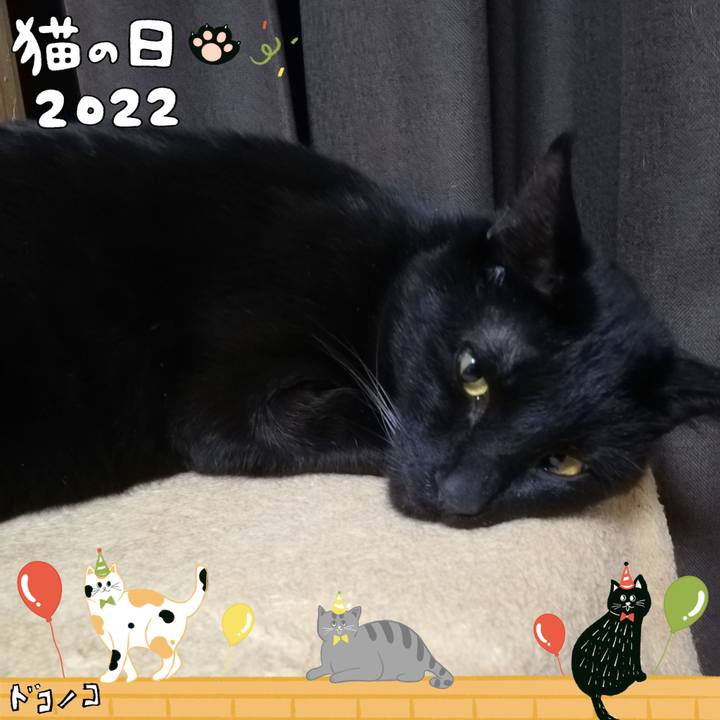 4afacdc7 2701 47f1 ae32 b7da4f37b025 1645503232542